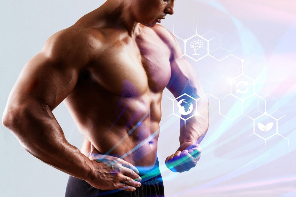 Proven Health Benefits of Ashwagandha for Men